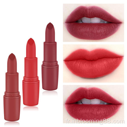 25 couleurs de rouge à lèvres Vintage Matte Matte Matte Matte Matte Matte